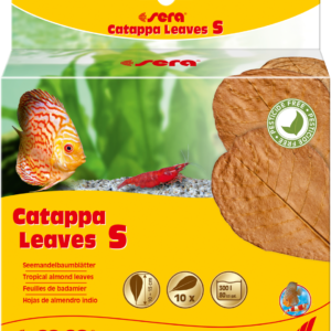 Sera Catappa lišće S 10-15cm 10kom