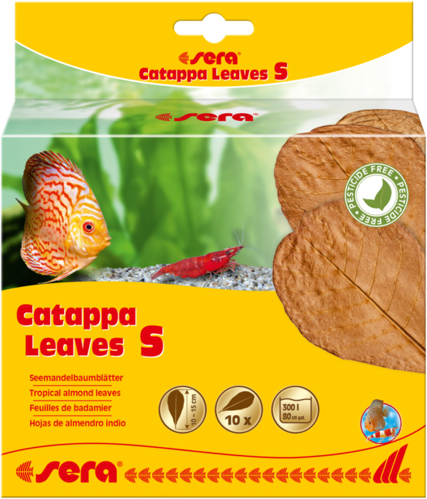 Sera Catappa lišće S 10-15cm 10kom