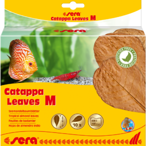 Sera Catappa lišće M 16-20cm 10kom
