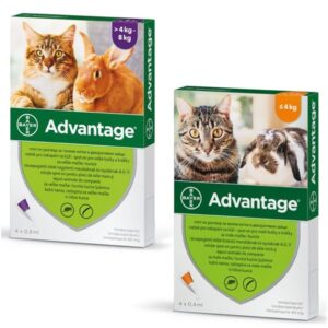Advantage 80 Cat 0.8ml 1/4 pip