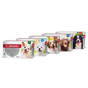 Advantix 100 4-10kg 1.0ml pip.1/24 psi