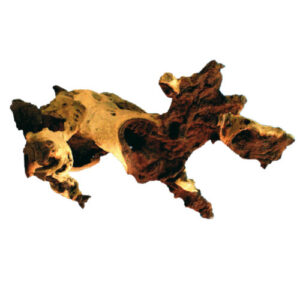 Drvo Mopani 15-30cm