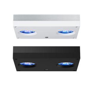 Rasvjeta Hydra 32 HD LED black