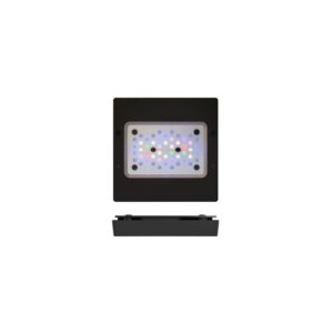 Rasvjeta Radion XR15 G6 PRO LED Light w/Eu cable