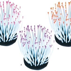 Akvarijski Ukras Reef Anemone 7,2x7,2x9cm Amtra