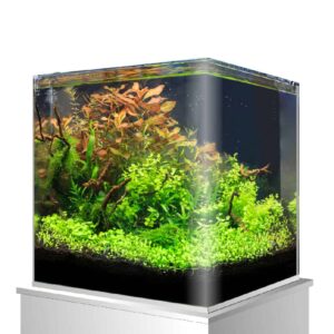 W Akvarij 25x25x30cm staklo Nano Amtra