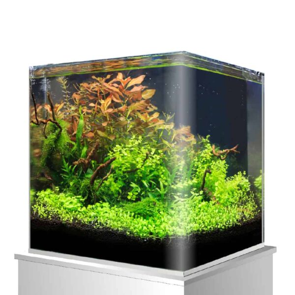 W Akvarij 25x25x30cm staklo Nano Amtra