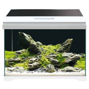 W Akvarij 50,5x25,5x40cm Modern tank 50 LED