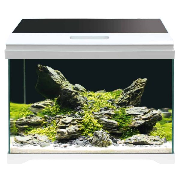 W Akvarij 50,5x25,5x40cm Modern tank 50 LED