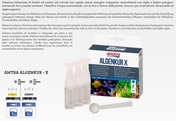 Amtra Algenkur X 10 ampula - Image 2