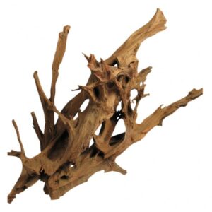 Drvo Mangrovia 60-90cm Tatrapet
