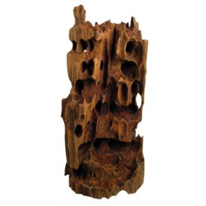 Drvo Mangrovia rupe 45-55cm Tatrapet