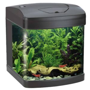 W Akvarij XCube 26l crni led