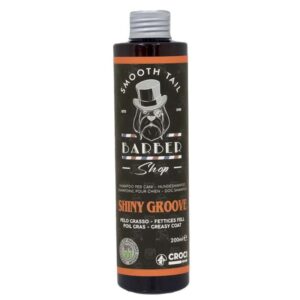 Barbershop Shiny groove šampon 200ml