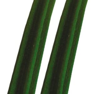 KD Poslastica za Pse Dental Stix Mint 80g 4kom CROCI