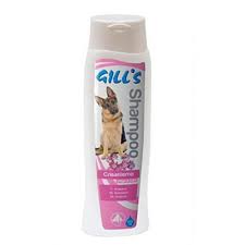 Gills šampon Chrisanthem 200ml