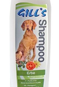 Gills šampon Herbal 200ml