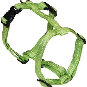 Ham Nylon Reflective 25x650-800mm Zeleni Podesivi