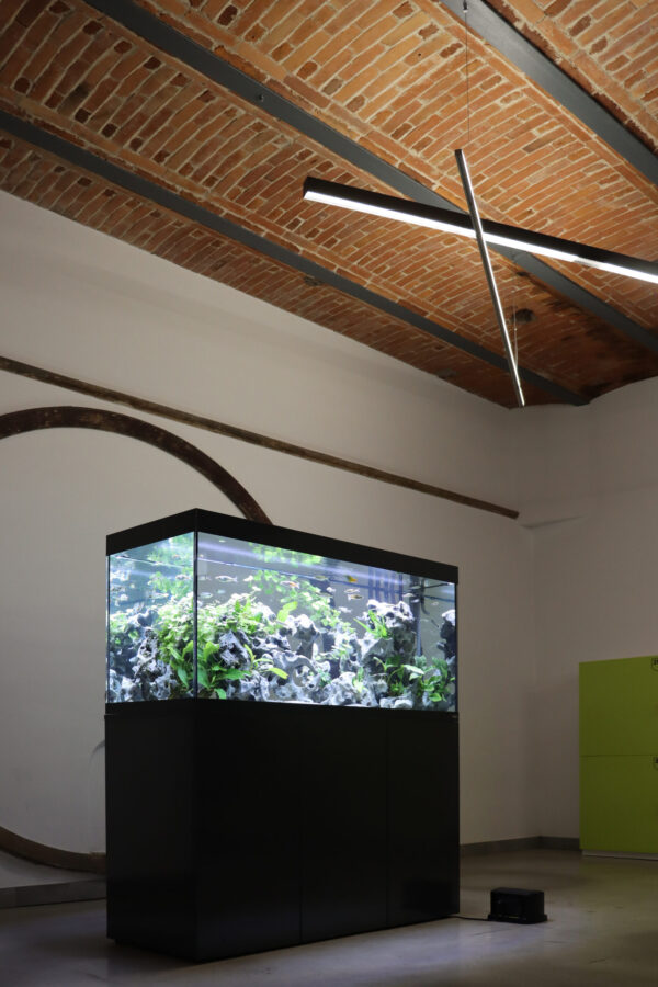 Amtra akvarij ALUX 450 LED sivi combi 150x55x65cm - Image 3