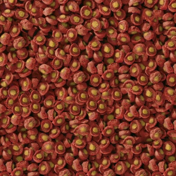 Sera KOI Spring/Autumn 1000g - Image 2