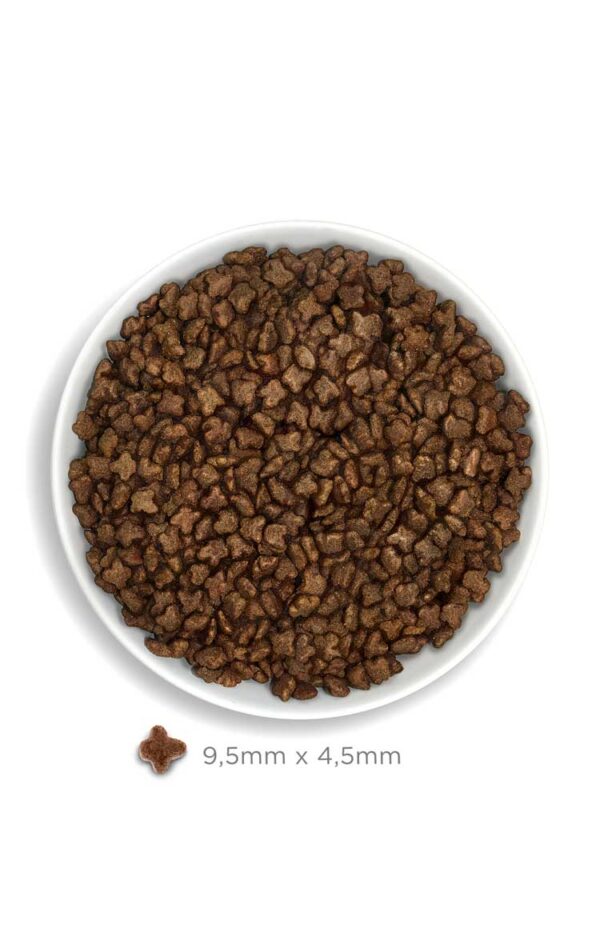 Amanova cat Kitten Exquisite pile 300g - Image 4