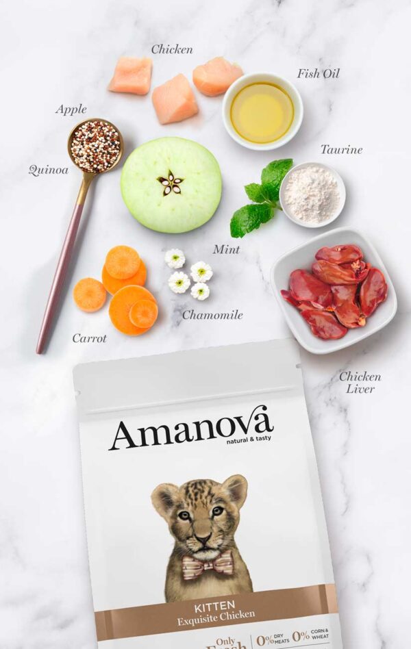 Amanova cat Kitten Exquisite pile 300g - Image 5