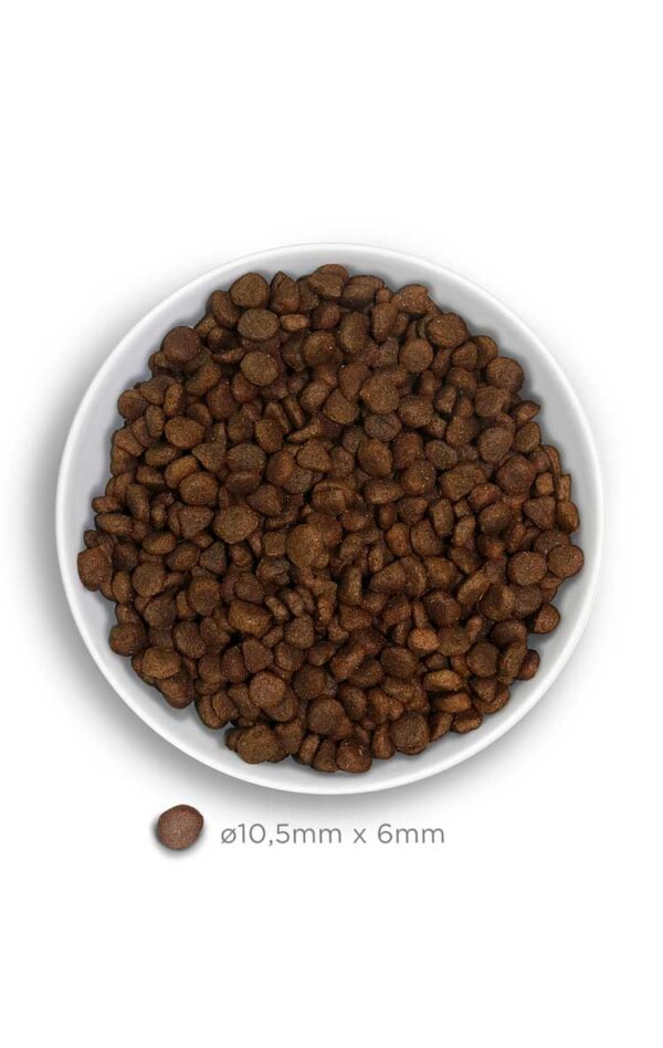 Amanova cat adult Divine kunić 1,5kg GF - Image 4