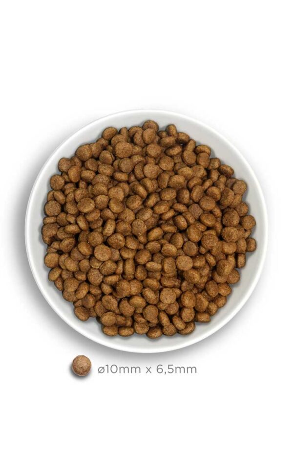 Amanova dog puppy mini Exquisite pile 2kg - Image 4