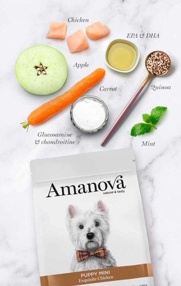 Amanova dog puppy mini Exquisite pile 2kg - Image 5