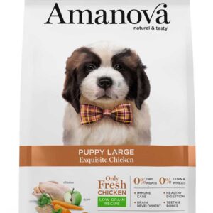 Amanova dog puppy large Exquisite pile 12kg