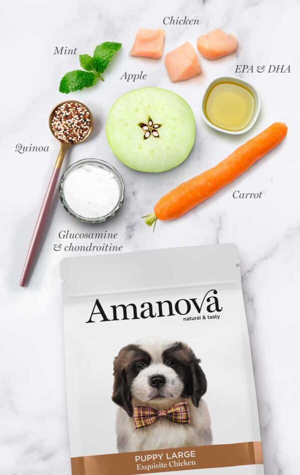 Amanova dog puppy large Exquisite pile 12kg - Image 5