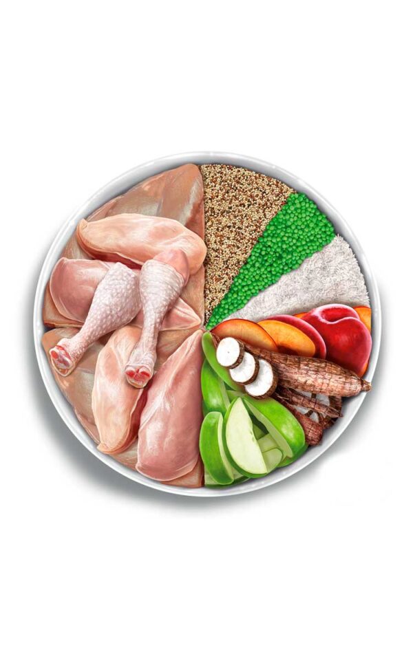 Amanova dog adult mini Exquisite pile 2kg - Image 3