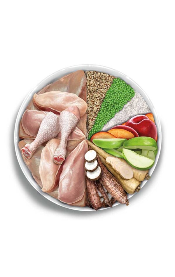 Amanova dog adult medium Exquisite pile 12kg - Image 3