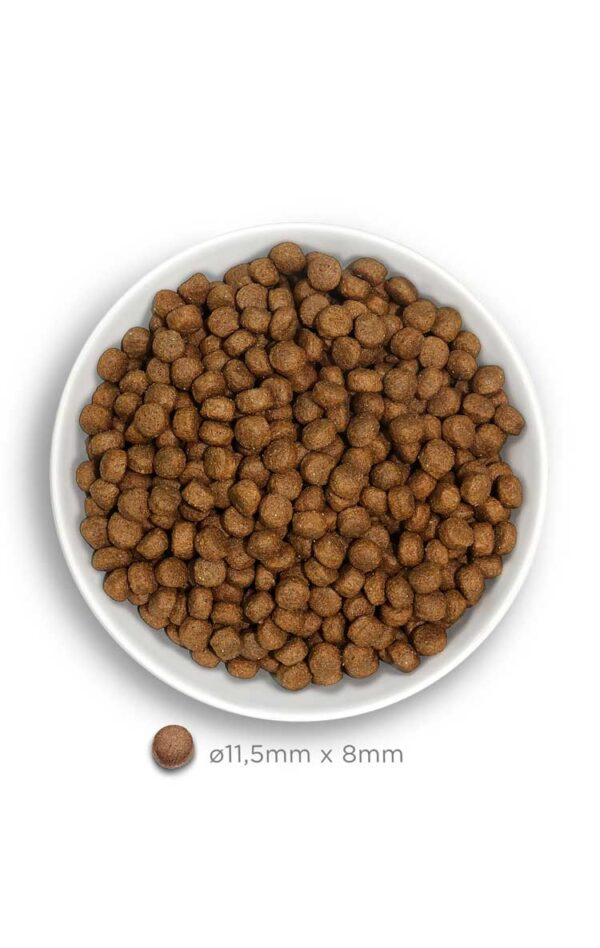 Amanova dog adult large Exquisite pile 12kg - Image 4