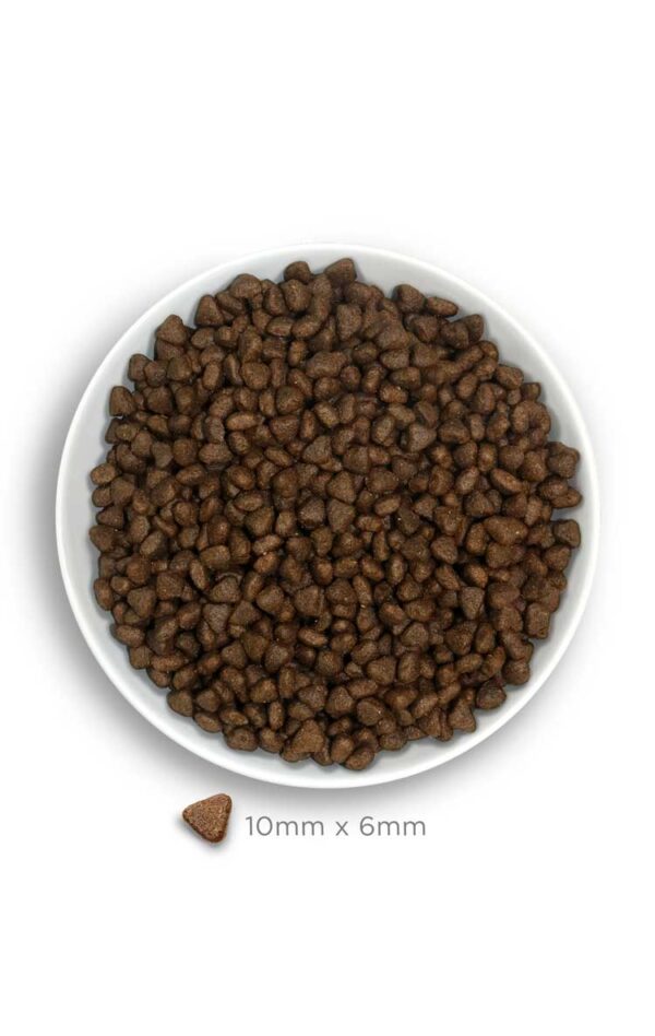 Amanova dog puppy Digestive Divine kunić 2kg GF - Image 4