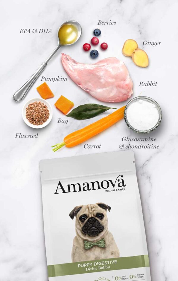 Amanova dog puppy Digestive Divine kunić 2kg GF - Image 5